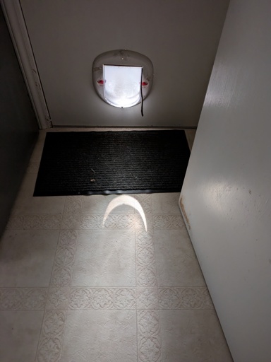 Sun light through cat door 