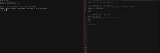 a system-wide age verification implementation that probably only works with systemd